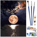 PRONETT XJ5580 Számfestő - Hold, 40×50 cm