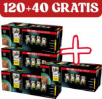Sheba Sheba Delicacy Baromfi ízek zselében - nedves macskaeledel 120x85g + 40x85 INGYEN
