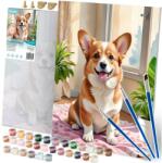 Massido Számfestő készlet 40x50cm - Corgi kutya (TE699001)