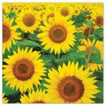 Elcadis Servetele in 3 Straturi, Sunflowers Field, 33 x 33 cm, 20 Bucati, Elcadis (ELC-SRV 33X33 FLO-SF)