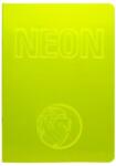Statovac-komerc Caiet A4 Velin, 42 File, 80 g, Coperta Neon PP, Varianta 3 (KH-O100 977V_3)