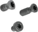 Canela Surub Torx, T 7 (CN.1425)