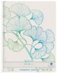 Pelikan Caiet A4, 70 File, Spirala, Matematica, Motiv Gingko Greenline (HRZ-50033485)