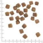 Wolfsblut Wild Duck Senior 2 kg