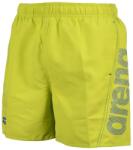 arena Mens Fundamentals Logo R Beach Boxer - Soft Green