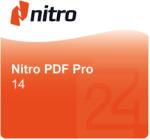 Nitro PDF Pro 14 Windows 1 User (NitroProPerp)