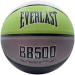 Everlast BB500 Basketball - Multi