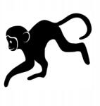  Autós matrica majom