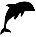  Autós matrica delfin ugráló 6y 14cm x 15cm