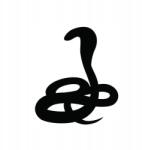  Királykobra autós matrica