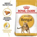 Royal Canin Bengal Adult 10kg szárazeledel bengáli fajtájú macskák számára