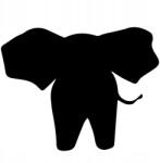  Autós matrica elefánt front 2e 15cm x 11cm