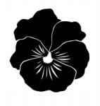  Autós matrica virág grafika mandalák