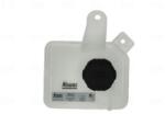 NISSENS Vas de expansiune, racire NISSENS 996427 (996427)