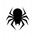  Autós matrica pók rovar