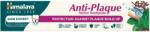Himalaya Gyógynövényes Fogkrém Anti-plaque 75 ML (4751015929683)