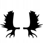  Autós matrica jávorszarvas agancs 2d 15cm x 9cm