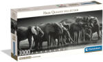Clementoni Elefánt Herd of Giants 1000 db-os panorama Compact puzzle Clementoni (CL39895)
