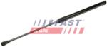 FAST Amortizor portbagaj FAST FT00206 (FT00206)