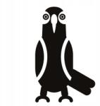  Autós matrica papagáj front