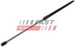 FAST Amortizor portbagaj FAST FT94804 (FT94804)
