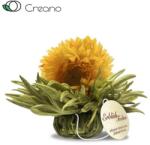 Creano Vanilia ragyogás csésze méretű virágzó fehér teagolyó