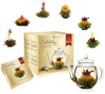 Creano virágzó tea szett kancsóval és 6 db virágzó teával MIX