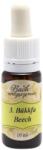 BachVirágeszencia Bach virágterápia, 10 ml - Bükkfa, a tolerancia virága - 3-as