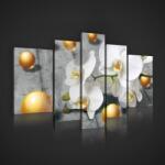 Consalnet Vászonkép, 5 darabos, Orchidea gömbökkel 170x100 cm méretben (C5-2421S4A)