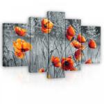 Consalnet Vászonkép, 5 darabos, Pipacsok 170x100 cm méretben (C5-11746S4A)