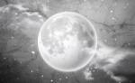 Consalnet Hold poszter, fotótapéta (104 x 70, 5 cm) (C1-13574VEM)