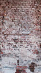 AS Fotótapéta, Régies téglafal hatású 3, 159x280 cm (AS-38335-1)