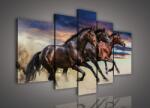 Consalnet Vászonkép, 5 darabos, Lovak 170x100 cm méretben (C5-496S4A)