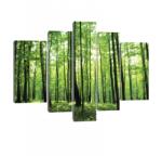 Consalnet Vászonkép, 5 darabos, Zöld erdő 170x100 cm méretben (C5-20011S4A)