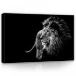 Consalnet Oroszlán fekete-fehérben, vászonkép, 60x40 cm méretben (C5-12724O4)