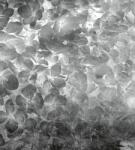 Dimex Almafa fotótapéta, poszter, vlies alapanyag, 225x250 cm (MS-3-0355)