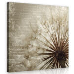 Consalnet Pitypang, vászonkép 40x40 cm méretben (C5-11683O5)