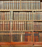 Dimex LIBRARY fotótapéta, poszter, vlies alapanyag, 225x250 cm (MS-3-0263)