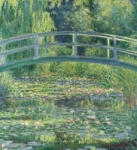 Dimex WATER LILY fotótapéta, poszter, vlies alapanyag, 225x250 cm (MS-3-0255)