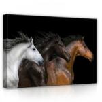 Consalnet Lovak, vászonkép, 70x50 cm méretben (C5-12711O7)