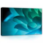 Consalnet Virág közelről, vászonkép, 60x40 cm méretben (C5-12716O4)