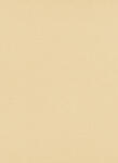 Erismann Bézs struktúrált egyszínű tapéta (Casual Chic 10262-02) (10262-02)