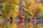 Dimex Vlies Fotótapéta - Reflections of autumn trees - 375x250 cm (MS-5-1826)