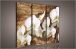 Consalnet Orchidea, 3 darabos vászonkép, 90x80 cm méretben (C5-414S6)