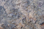 Dimex Vlies Fotótapéta - Natural Grunge background - 375x250 cm (MS-5-2452)