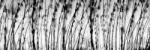 Dimex BLACK AND WHITE GRASS öntapadós konyhai poszter, 180x60 cm (KI-180-137)