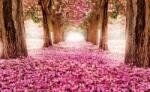 Consalnet Pink alley poszter, fotótapéta (254 x 184 cm) (C1-851V4)