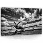 Consalnet Repülő fekete-fehérben, vászonkép, 60x40 cm méretben (C5-11384O4)