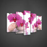 Consalnet Vászonkép 5 darabos, Rózsaszín orchideák 100x60 cm méretben (C5-136S17)
