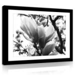 Consalnet Vászonkép, Fekete-fehér magnólia, 80x60 cm méretben (C5-11302O6)